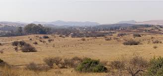File:Highveld in Gauteng Province.jpg - Wikimedia Commons